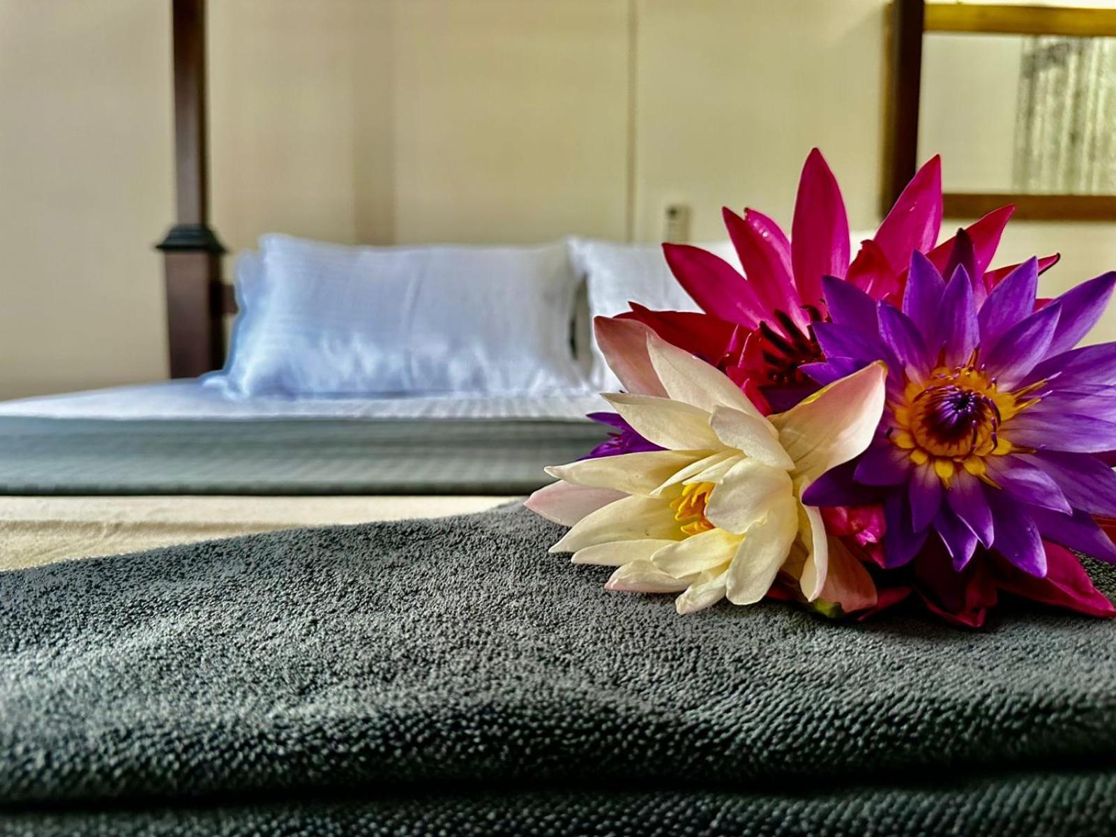 Curve Hiri Apartment Dikwella Ngoại thất bức ảnh